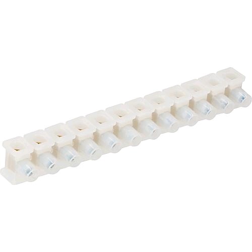 WERIT Abzweigklemme Querschnitt 4,0mm² natur 112-10821000-00 VPE10 Riegel