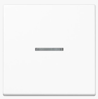 Jung Wippe 1-fach mit Lichtleiter AS590KO5WW