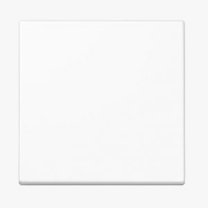 JUNG Wippe für Serieschalter A590WW