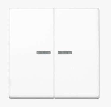 JUNG Wippe mit Lichtleiter 2fach AS591-5KO5WW