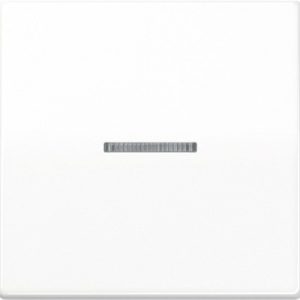 JUNG Wippe mit Lichtleiter AS591KO5WW