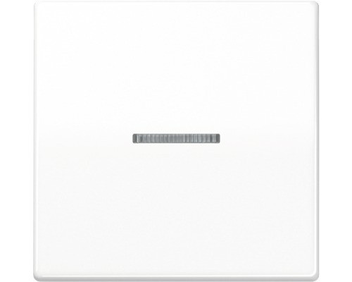 JUNG Wippe mit Lichtleiter AS591KO5WW