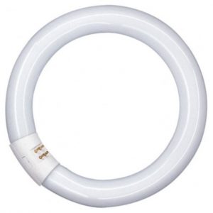 LEDVANCE Ringform Leuchtstofflampe L22W/840-C-G10Q-FLH1